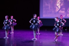 GALA2019-7