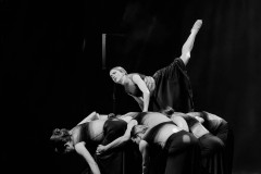 DSC0739-NEF_DxO_DeepPRIME